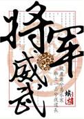 将军很威风