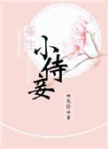 重生侍妾空间之宫婢角色故事