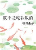 朕不是皇帝