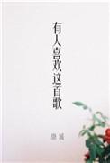 有人喜欢这首歌的文案