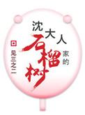 沈大人家的石榴树讲的什么