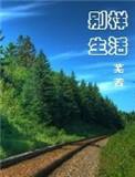别样人生2