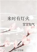 来时有灯火全文免费阅读