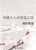 宰辅夫人的荣宠之路无防盗章节