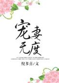 顾少宠妻无度