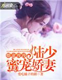 陆少追妻路漫漫