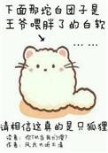 你尾巴戳到我了英文