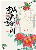 京城头号绯闻无防盗章节txt