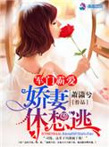 军门霸爱娇妻休想逃全文免费阅读笔趣阁