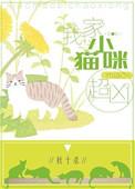 我家劰小猫