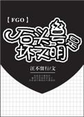 fate石头号是什么意思
