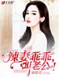 辣妻乖乖叫老公在线阅读