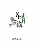 熙养青梅绿茶