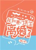 先生我要离婚