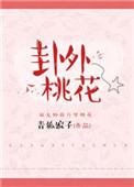 卦外桃花青狐娘子讲的什么故事