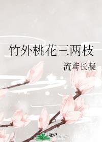 竹外桃花三两枝春江水暖鸭先知翻译