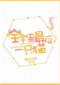 全宇宙最后一只猫txt