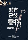 对方已重伤综武侠无防盗