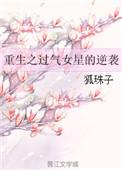 重生之过气歌手