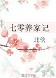 七零养家记事