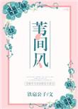 苇间风全文免费
