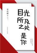 目光所及之处是你电视剧