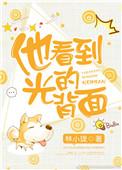 他看到光的背面讲什么的
