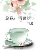 总裁请留步晋江