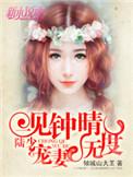 一见钟情叶少宠妻