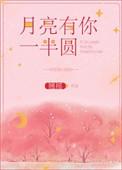 月亮有你一半圆番外完结TXT