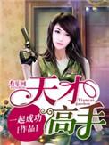 天才高手叶天龙全文