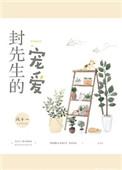 封先生的宠爱免费阅读