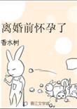 离婚前怀孕了by春水树免费阅读