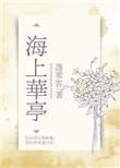 海上华亭电视剧全集