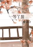 一等丫鬟是什么意思