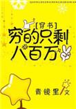 穷得只剩八百万笔趣阁