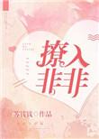 撩入非非全文免费