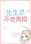 先生总不肯离婚在线阅读