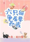 六只宠猫粮属于什么档次