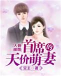 入骨婚宠误嫁天价