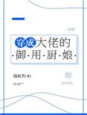 穿成大佬的御用炉鼎txt