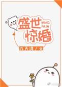 盛世惊婚无防盗