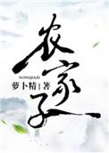 农家子科举养家