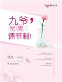 九爷宠妻请节制全文免费版