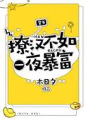 撩汉秘籍