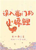 误入豪门晋江