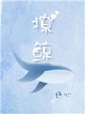 撩鲸免费阅读