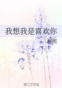 我想我是喜欢你免费阅读