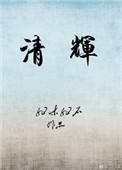 清辉集成