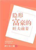 隐形富豪的旺夫的前妻